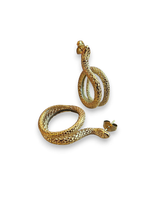 Orecchini Hoop Snake