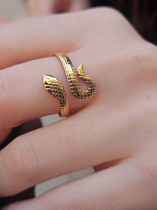 Anello Snake