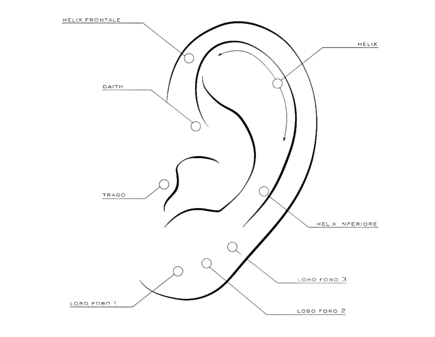 Piercing Stella Polare