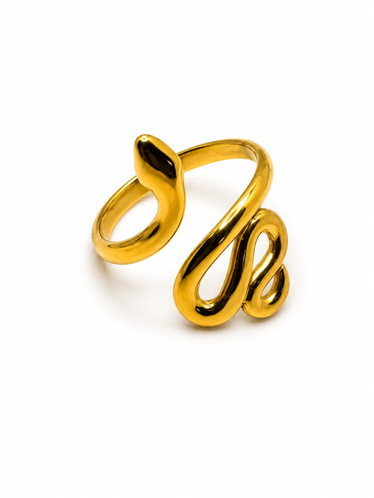 Set Orecchini e Anello Serpente