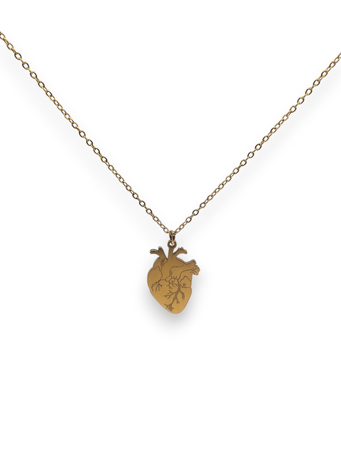 Collana Cuore Anatomico