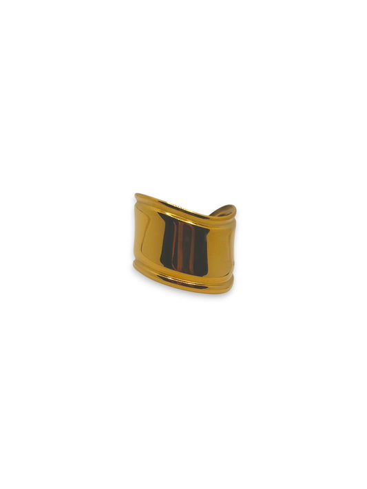 Anello Fascia Musa