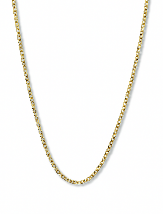 Collana Catena Classica Rolò Chiusura ad Anelli
