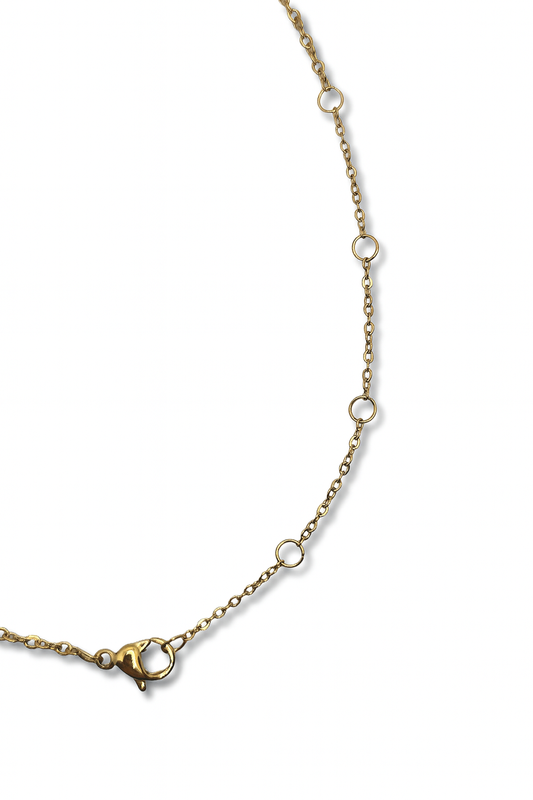 Collana Catena Classica Rolò Chiusura ad Anelli