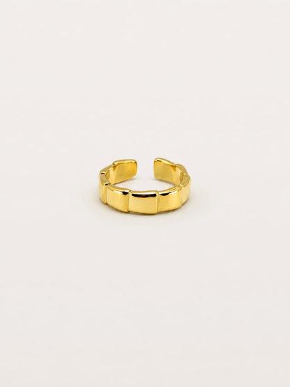 Anello Domino