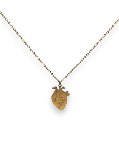 Collana Cuore Anatomico