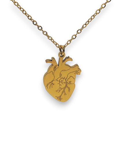 Collana Cuore Anatomico